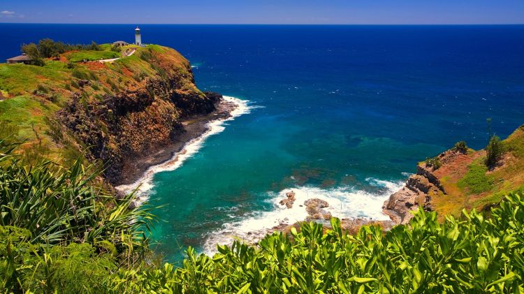 article cover